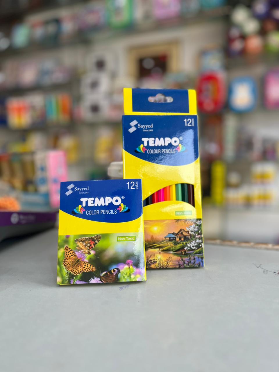 Sayyed TEMPO Colour Pencils – 12 Colours Pack