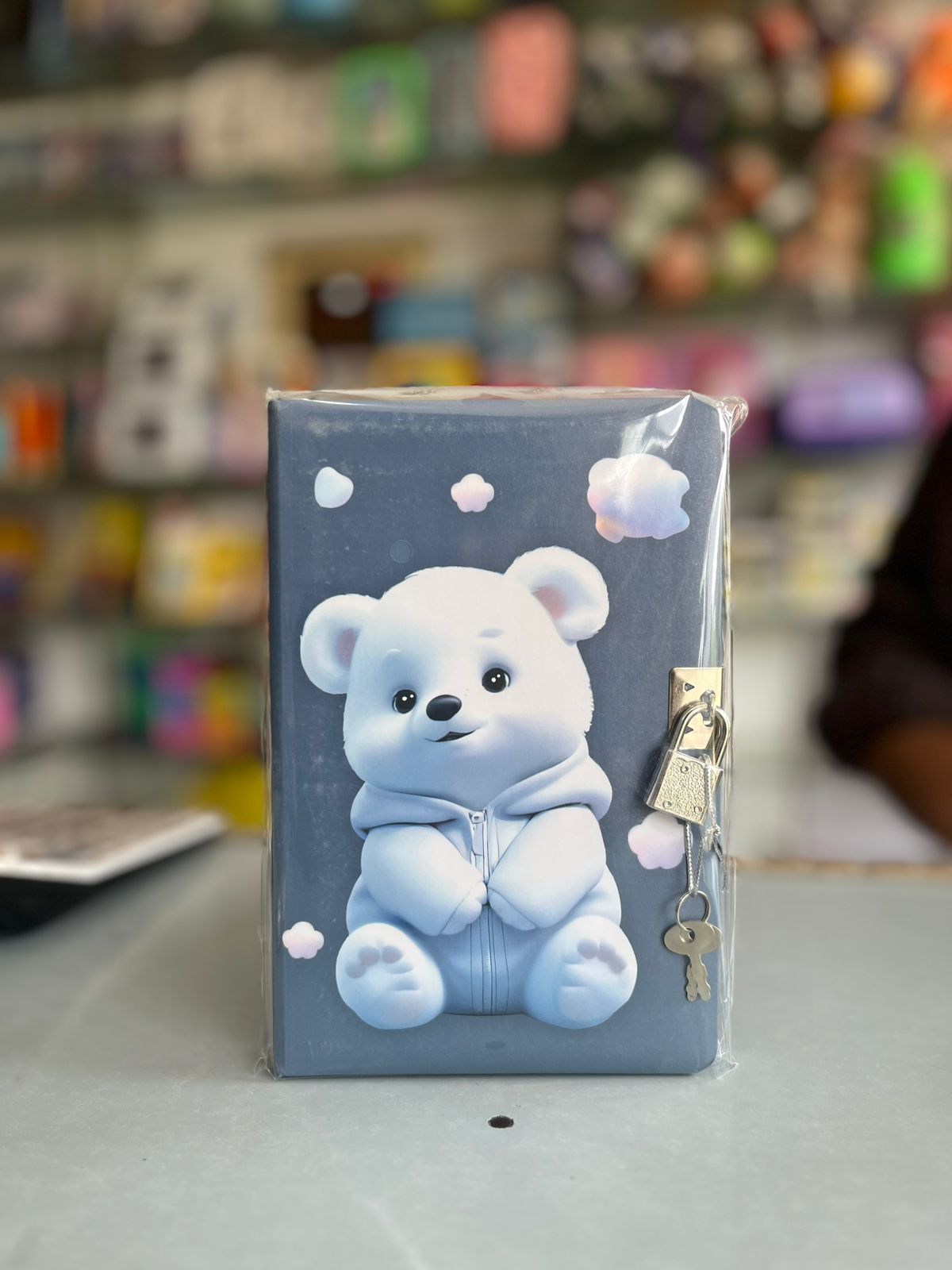 Cute Polar Bear Charcoal Grey Lock and Key Secret Diary