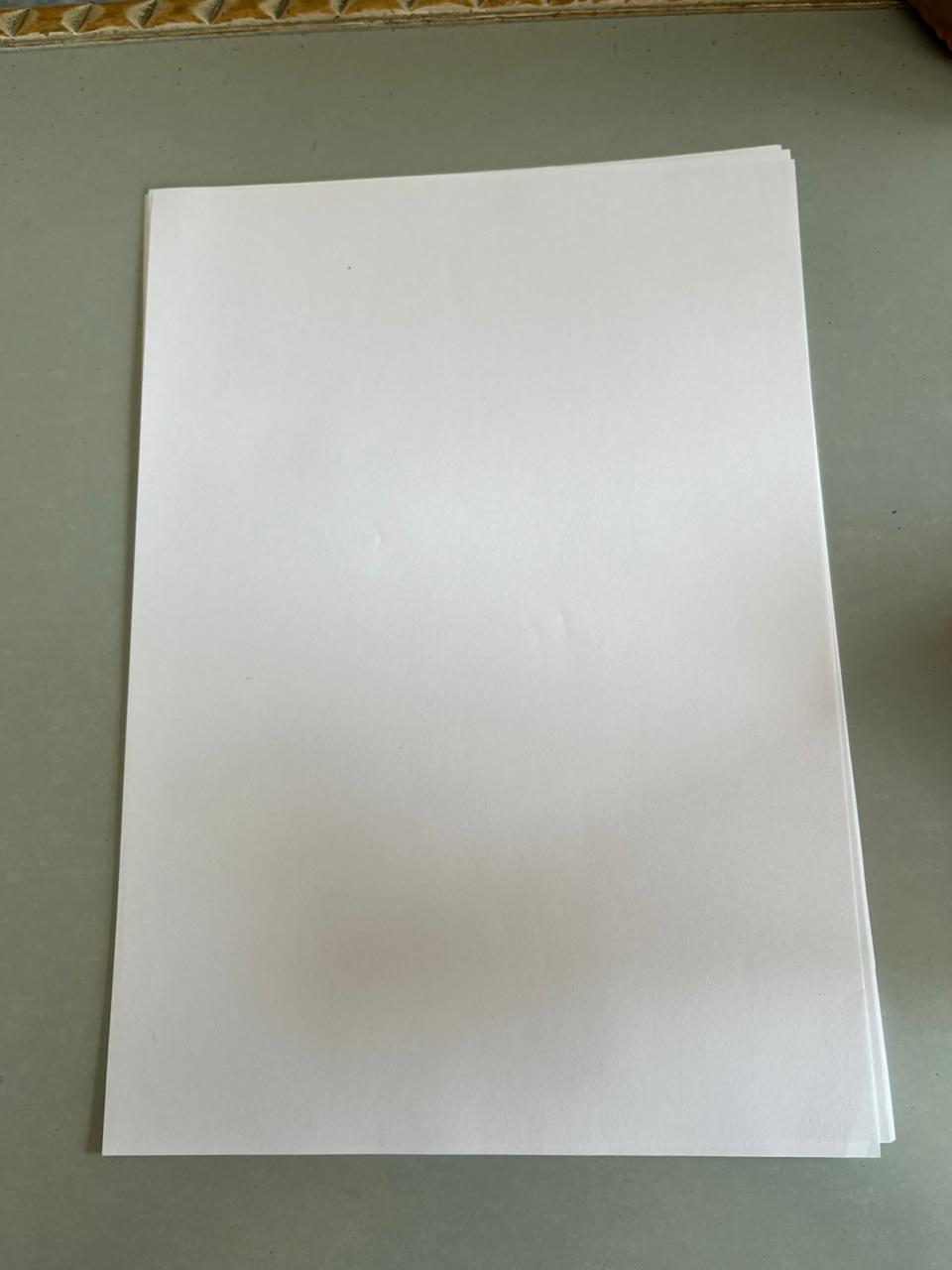 Fine Spectrum A4 Multi-Purpose Colored (Computer) Paper - 100 Sheets Pack