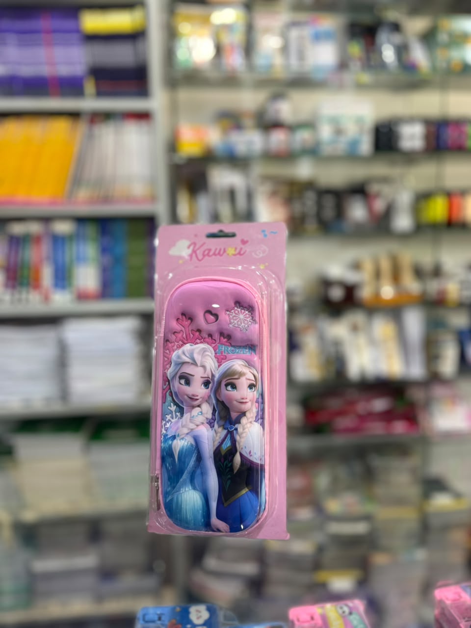 Frozen Princess Pink Pencil Case