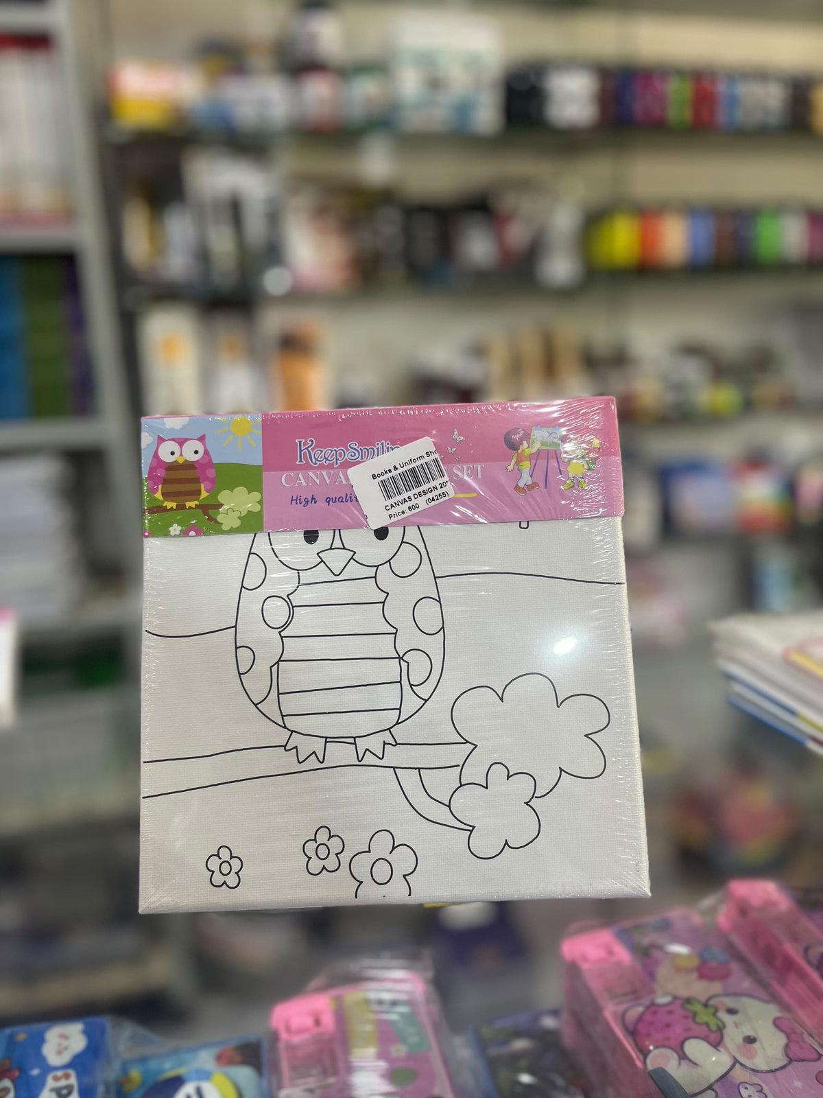 Cute Owl Canvas Painting Set - Kids Art & Craft Kit